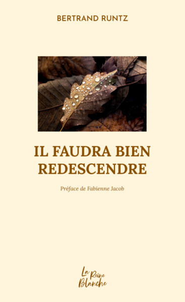 Il faudra bien redescendre - Bertrand RUNTZ