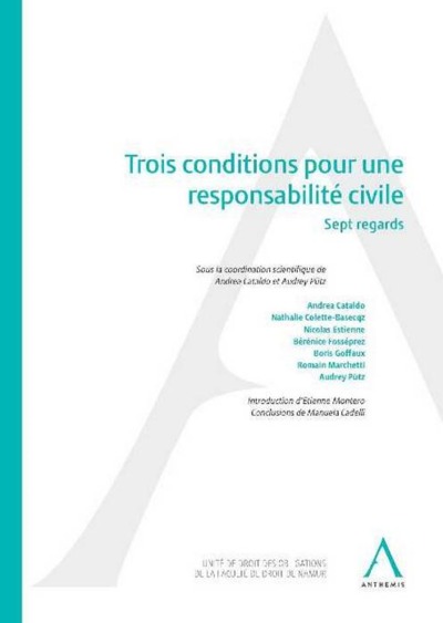 trois conditions pour une responsabilité civile