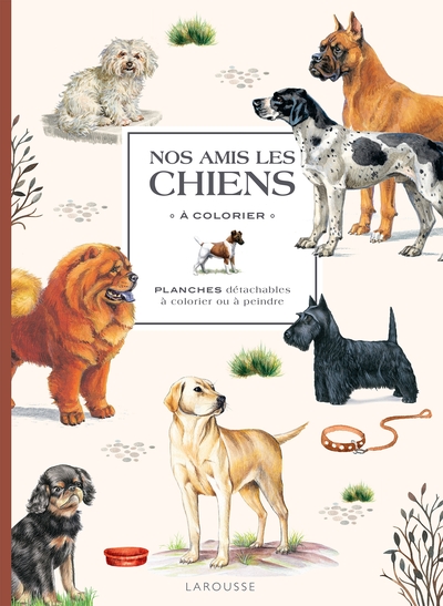 Nos Amis Les Chiens À  Colorier