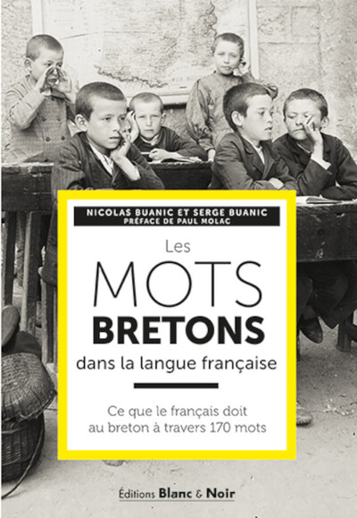 Les Mots Bretons Dans La Langue Française, Ce Que Le Français Doit Au Breton À Tranvers 170 Mots