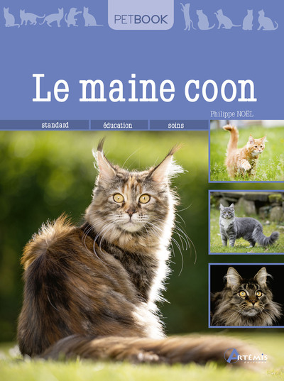 Maine Coon