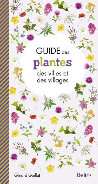 Guide des plantes des villes et villages - Gérard Guillot