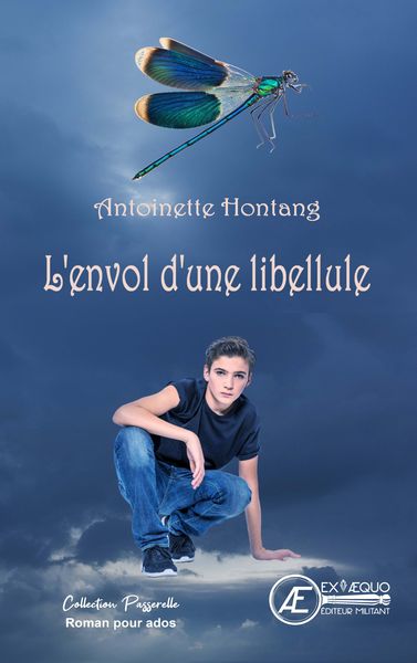 L'Envol D'Une Libellule, Roman Jeunesse