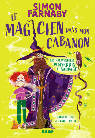 Le Magicien dans mon cabanon (broché) - Tome 01 Les malaventures de Myrddin le sauvage - Simon Farnaby