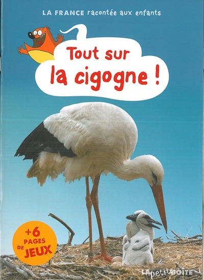 Tout sur la cigogne !