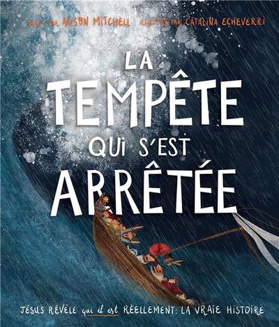 La tempête qui s'est arrêtée - Alison Mitchell