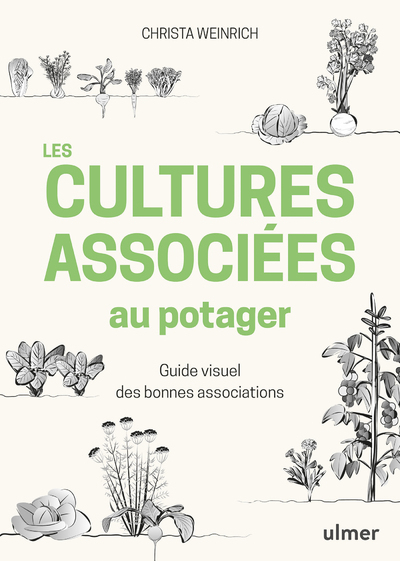 Les cultures associées au potager