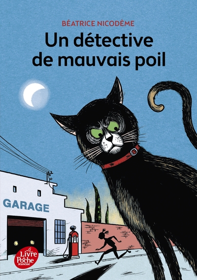 Un Détective De Mauvais Poil