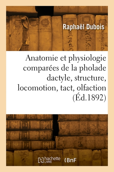 Anatomie et physiologie comparées de la pholade dactyle, structure, locomotion, tact, olfaction