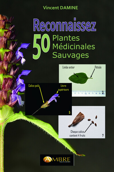 Reconnaissez 50 Plantes Médicinales Sauvages