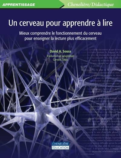 Cerveau Pour Apprendre A Lire