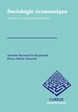 Sociologie Économique - Histoire Et Courants Contemporains, Histoire Et Courants Contemporains