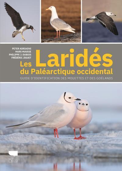 Les laridés du paléarctique occidental