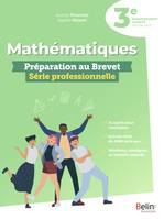 Mathématiques - Préparation au Brevet Série professionnelle