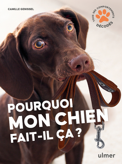 Pourquoi mon chien fait-il ça?