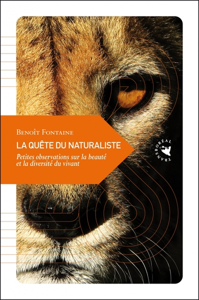 La Quête du naturaliste - Petites observations sur la beauté