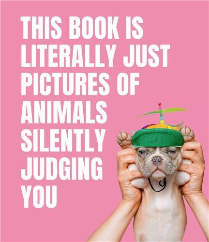 This Book is Literally Just Pictures of Animals Silently Judging You /anglais