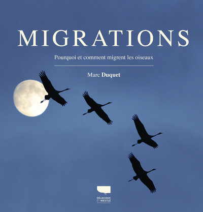 Migrations - Marc Duquet