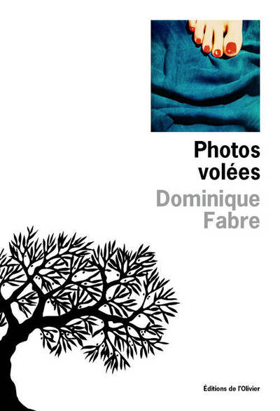 Photos volées - Dominique Fabre