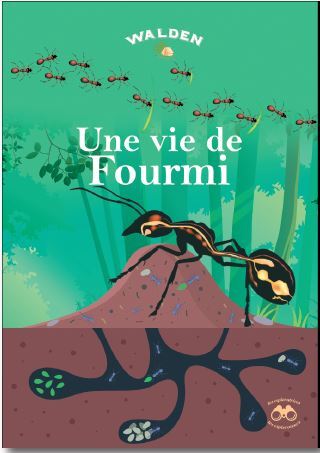 Un travail de fourmi