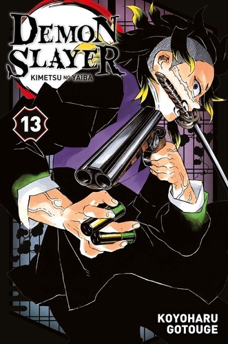 Demon Slayer Volume 13