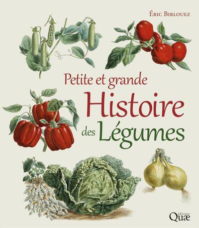 Petite Et Grande Histoire Des Légumes - Éric Birlouez