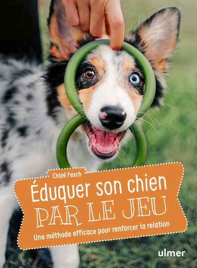 Éduquer son chien par le jeu - Une méthode efficace pour renforcer la relation