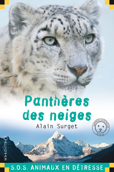 Panthere Des Neiges