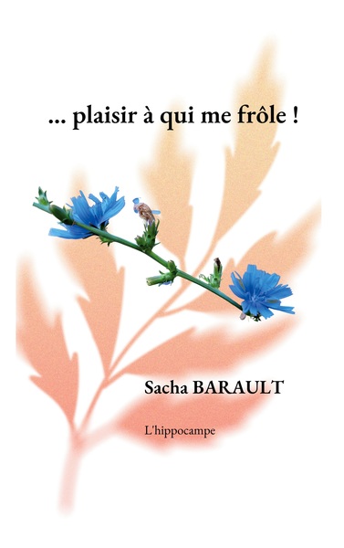 L'hippocampe Volume 1 - Sacha Barault