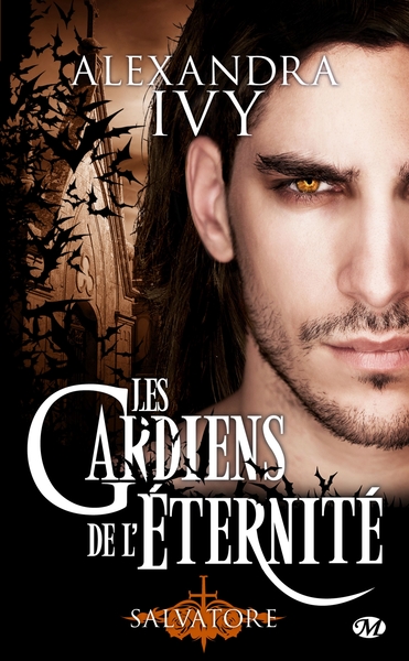 Les gardiens de l'éternité Volume 6