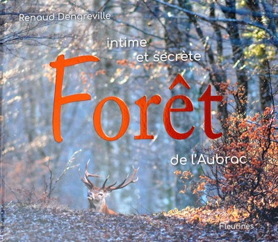 Intime et secrète forêt de l'Aubrac