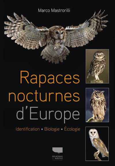 Rapaces nocturnes d'Europe