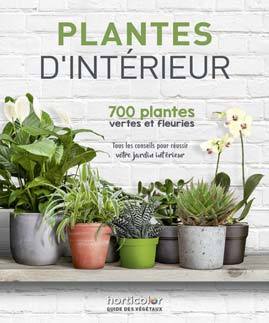 Plantes d'intérieur