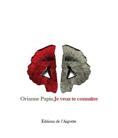 Je veux te connaître - Orianne Papin