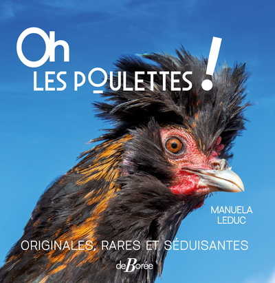 Oh les poulettes ! Originales, rares et séduisantes