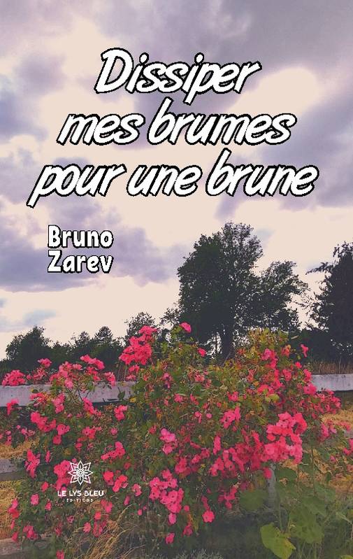 Dissiper mes brumes pour une brune