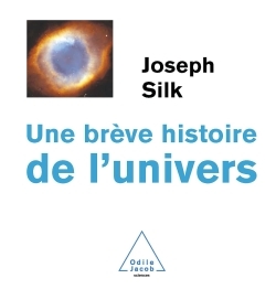 Une brève histoire de l'Univers