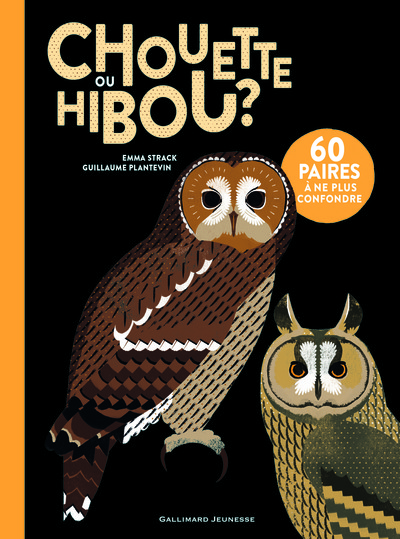 Chouette ou hibou ?