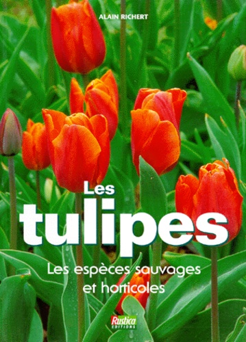 Le jardin de tulipes