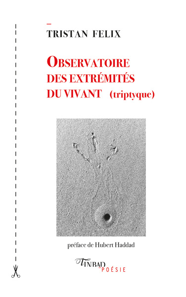 Observatoire des extrémités du vivant (triptyque)