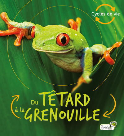 Du têtard à la grenouille - Camilla De la Bedoyere