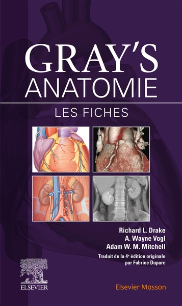 Gray's anatomie / les fiches