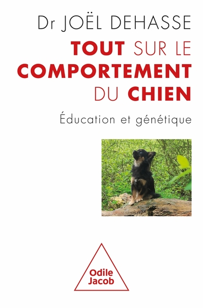 Tout sur le comportement du chien