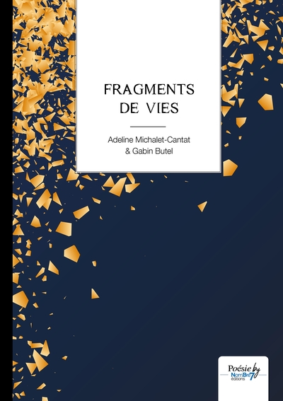 Fragments de vies