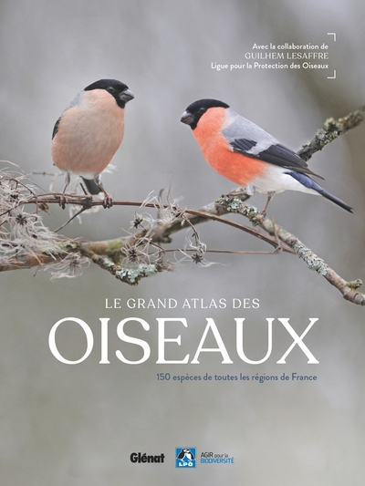 Le Grand Atlas Des Oiseaux, 150 Oiseaux Des Régions De France