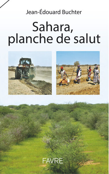 Sahara, planche de salut - Jean-Edouard Buchter