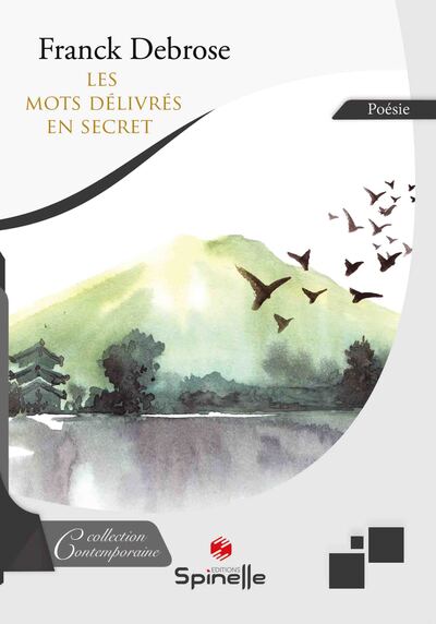 Les mots délivrés en secret - Franck Debrose