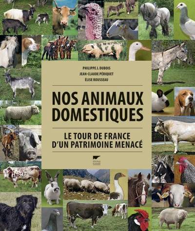 Nos animaux domestiques - Élise Rousseau