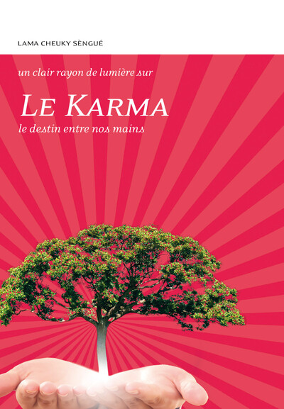 Le karma  - Tcheuky Sèngué