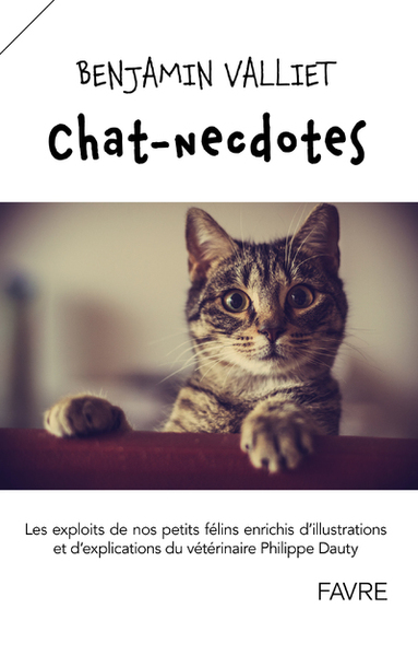 Chatnecdotes - Benjamin Valliet